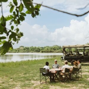 Fly In Safari Nyerere National Park - lastminute vakantie aanbiedingen