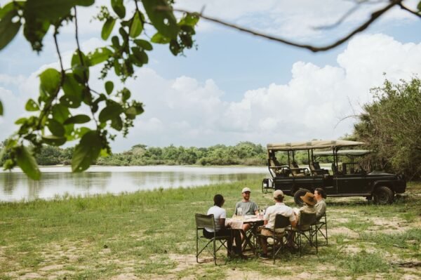 Fly In Safari Nyerere National Park - lastminute vakantie aanbiedingen