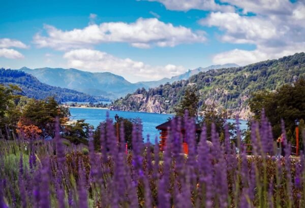 Grand Tour Argentinië - lastminute vakantie aanbiedingen