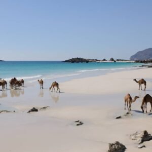 Grand Tour Oman - lastminute vakantie aanbiedingen