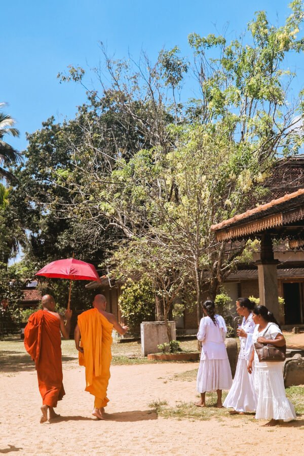 Het onbekende noorden van Sri Lanka - lastminute vakantie aanbiedingen