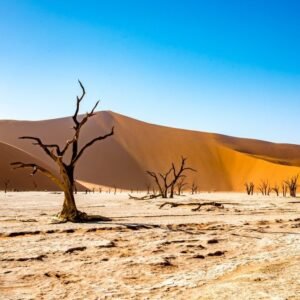 Highlights Avontuurlijk Namibië Deluxe - lastminute vakantie aanbiedingen