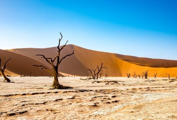 Highlights Avontuurlijk Namibië Deluxe - lastminute vakantie aanbiedingen