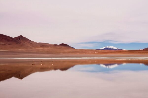 Hoogtepunten van Bolivia - lastminute vakantie aanbiedingen