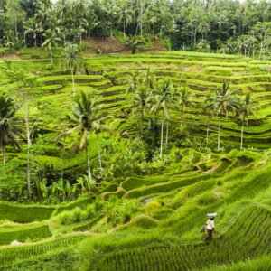 Hoogtepunten van Java en Bali - lastminute vakantie aanbiedingen