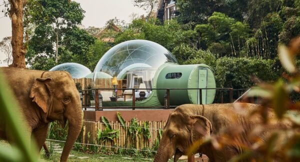 In de bubble buiten Chiang Rai - lastminute vakantie aanbiedingen