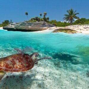 Islandhopping met een Caribisch tintje - lastminute vakantie aanbiedingen