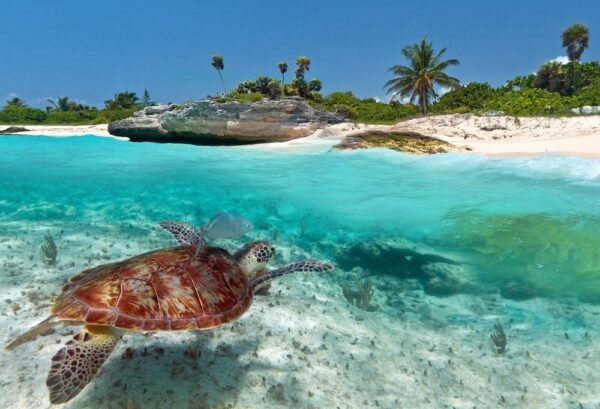 Islandhopping met een Caribisch tintje - lastminute vakantie aanbiedingen