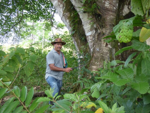 Jungle in Nicaragua - lastminute vakantie aanbiedingen