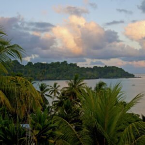 Junglegeluiden in Corcovado National Park - lastminute vakantie aanbiedingen