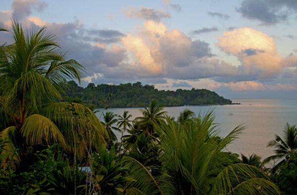 Junglegeluiden in Corcovado National Park - lastminute vakantie aanbiedingen