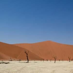 Kaapse kust en puur Namibië - lastminute vakantie aanbiedingen