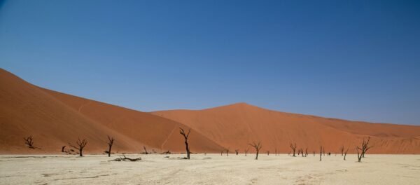 Kaapse kust en puur Namibië - lastminute vakantie aanbiedingen