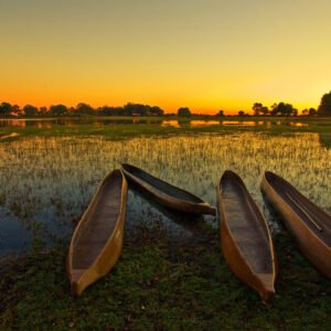 Kalahari en Okavango safari - lastminute vakantie aanbiedingen