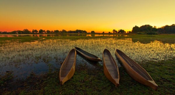 Kalahari en Okavango safari - lastminute vakantie aanbiedingen