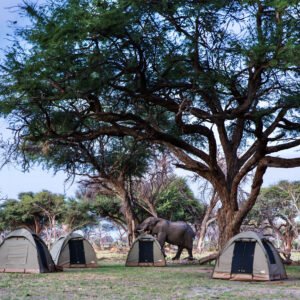 Kampeersafari door Botswana - lastminute vakantie aanbiedingen