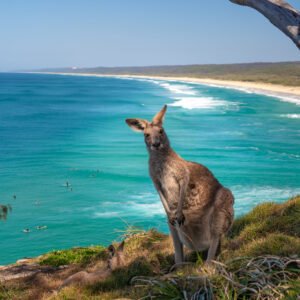 Kangaroo Island Adventure - lastminute vakantie aanbiedingen