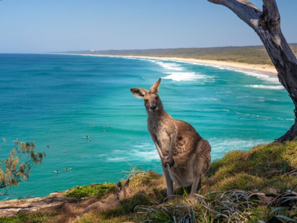 Kangaroo Island Adventure - lastminute vakantie aanbiedingen