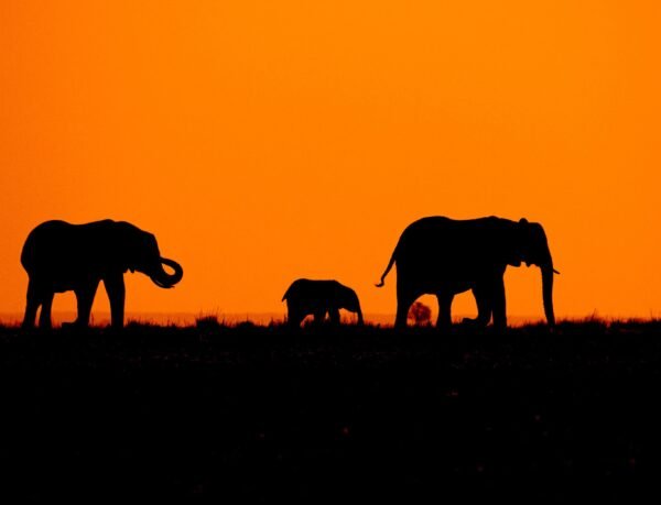 Karoo en Safari in Addo - lastminute vakantie aanbiedingen