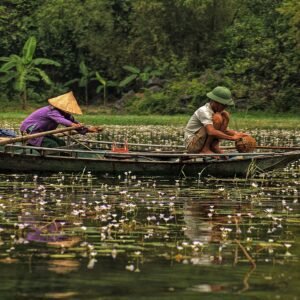 Landelijk Cambodja - lastminute vakantie aanbiedingen