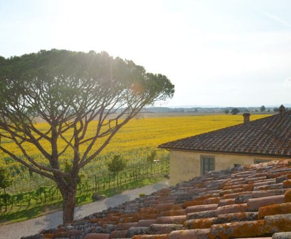 Le Terre dei Cavalieri Appartementen - lastminute vakantie aanbiedingen
