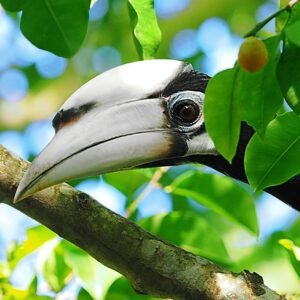 Magnifieke Wildernis van Taman Negara - lastminute vakantie aanbiedingen
