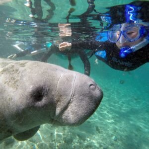 Met de kids naar Florida - lastminute vakantie aanbiedingen