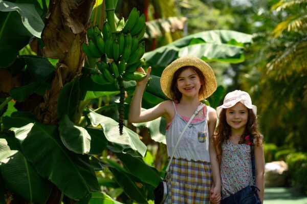 Met het gezin naar Costa Rica - lastminute vakantie aanbiedingen