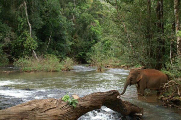 Natuurlijk Cambodja - lastminute vakantie aanbiedingen