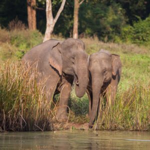 Natuurschoon in het Khao Yai National Park - lastminute vakantie aanbiedingen