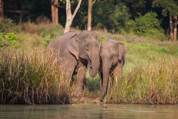 Natuurschoon in het Khao Yai National Park - lastminute vakantie aanbiedingen