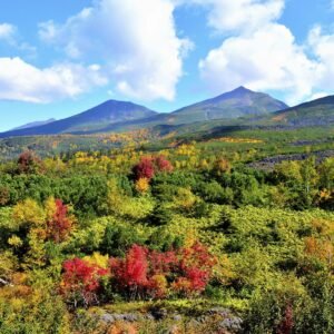 Ongerepte natuur op Hokkaido - lastminute vakantie aanbiedingen