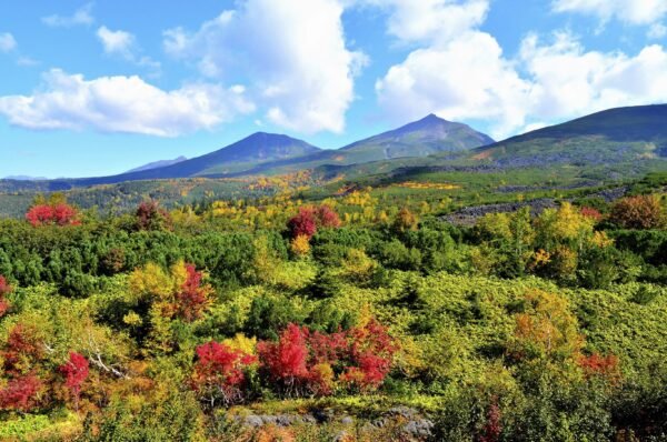 Ongerepte natuur op Hokkaido - lastminute vakantie aanbiedingen