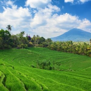 Ontdek Bali - lastminute vakantie aanbiedingen