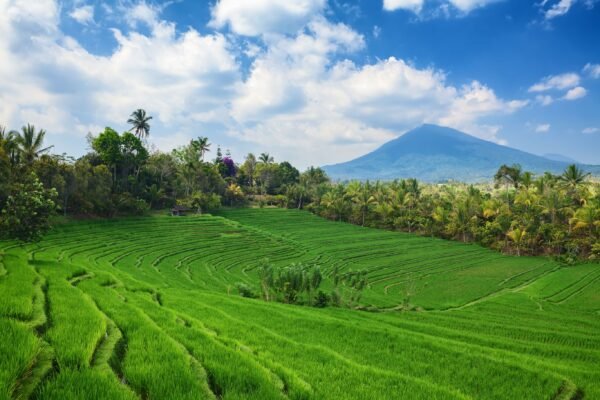 Ontdek Bali - lastminute vakantie aanbiedingen