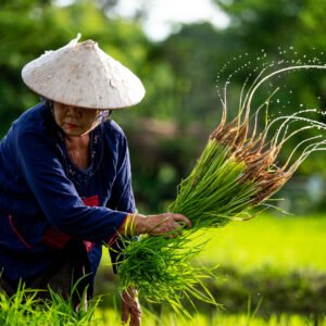 Ontdek de geheimen van Thailand - lastminute vakantie aanbiedingen