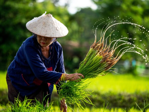 Ontdek de geheimen van Thailand - lastminute vakantie aanbiedingen