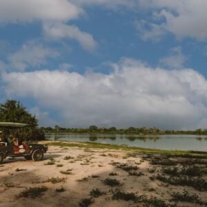 Op safari in Zuid-Tanzania - lastminute vakantie aanbiedingen