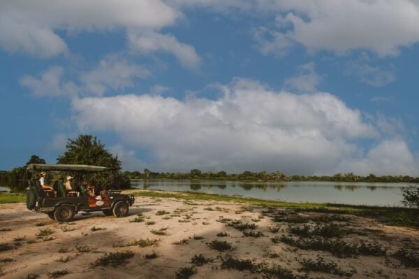 Op safari in Zuid-Tanzania - lastminute vakantie aanbiedingen