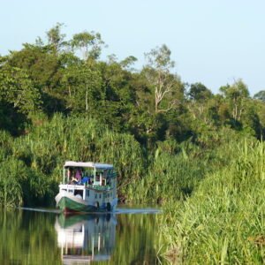 Per boot langs de orang-oetans - lastminute vakantie aanbiedingen