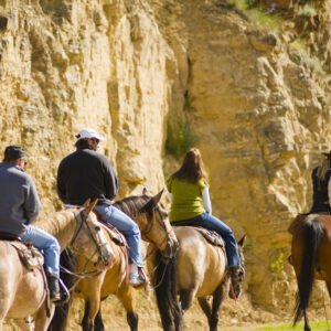 Ranchstay op een resortranch - lastminute vakantie aanbiedingen