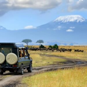 Safari Discover Kenia - lastminute vakantie aanbiedingen