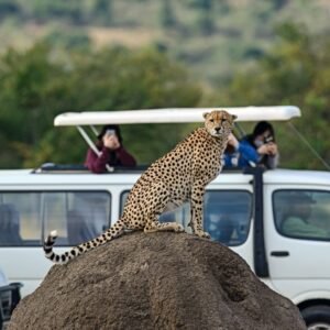 Safari Kenia Highlights Deluxe - lastminute vakantie aanbiedingen