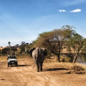 Safari Tanzania Highlights Deluxe - lastminute vakantie aanbiedingen