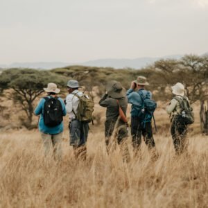 Slapen en wandelen in de Serengeti - lastminute vakantie aanbiedingen