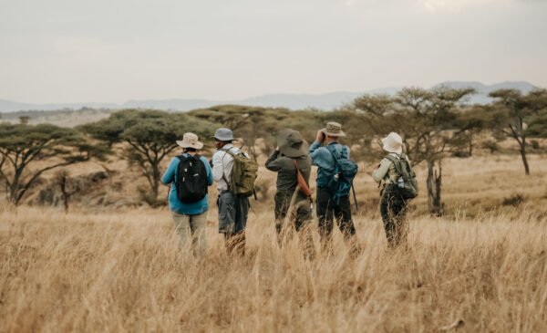 Slapen en wandelen in de Serengeti - lastminute vakantie aanbiedingen
