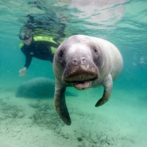Snorkelen en hagelwitte stranden - lastminute vakantie aanbiedingen