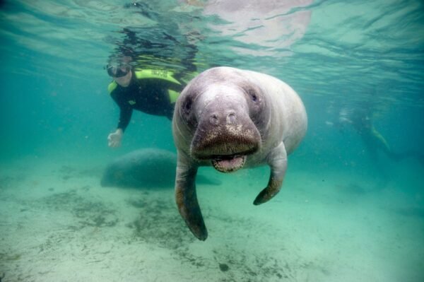 Snorkelen en hagelwitte stranden - lastminute vakantie aanbiedingen