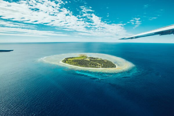 Snorkelparadijs bij Lady Elliot Island - lastminute vakantie aanbiedingen