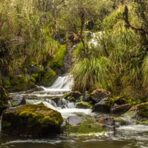 Sprookjesachtig El Ángel - lastminute vakantie aanbiedingen